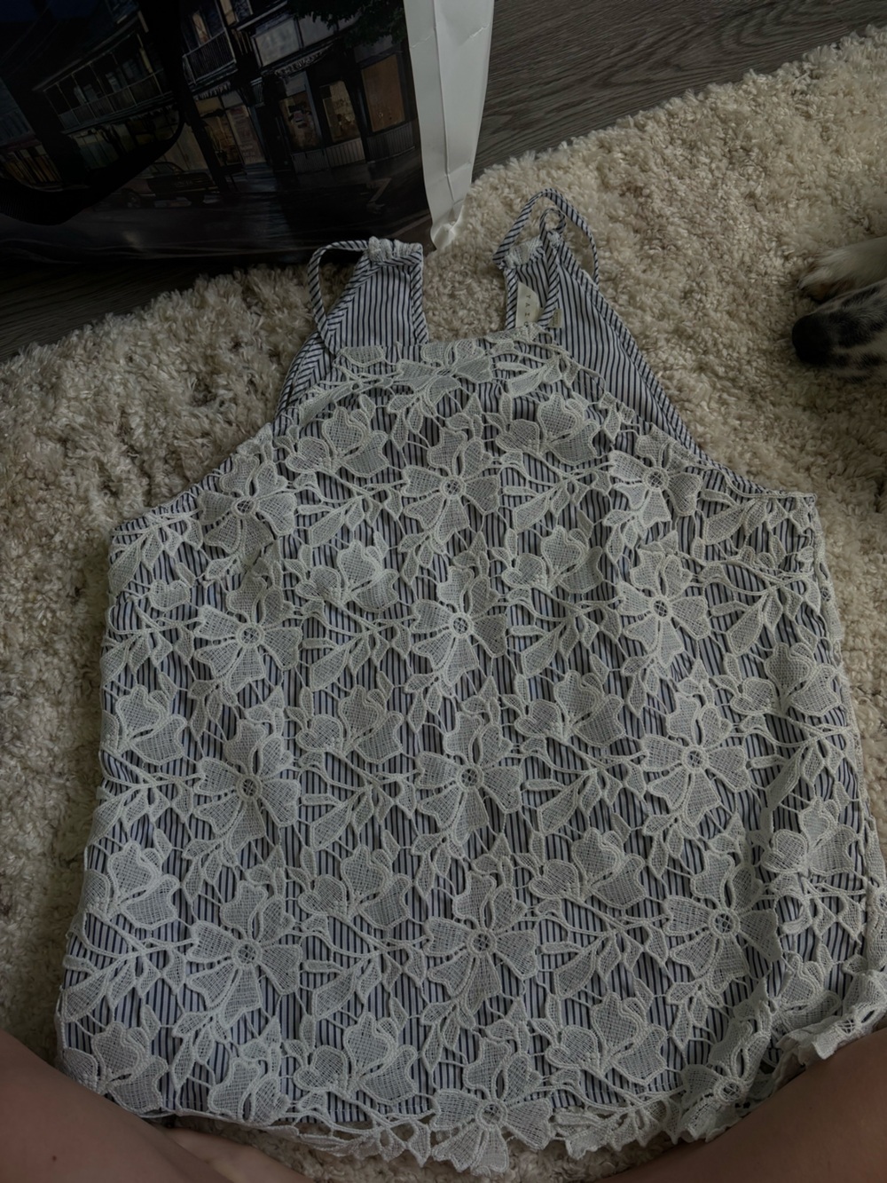 Adiva Blue and White Striped Camisole with Ivory Floral Lace